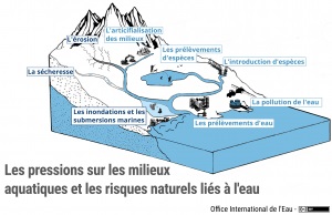 Schéma des pressions et des risques aux milieux aquatiques 